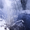 Jeu Jigsaw: This Winter River en plein ecran