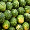 Jeu Jigsaw: Watermelon en plein ecran