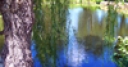 Jeu Jigsaw: Willow Pond