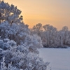 Jeu Jigsaw: Winter Landscape en plein ecran
