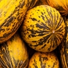 Jeu Jigsaw: Yellow Melons en plein ecran