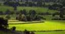 Jeu Jigsaw: Yorkshire Countryside