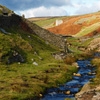 Jeu Jigsaw: Yorkshire Stream en plein ecran