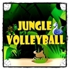Jeu Jungle Volleyball en plein ecran