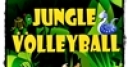 Jeu Jungle Volleyball