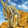 Jeu Kangaroos in the mountains slide puzzle en plein ecran