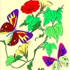 Jeu Kid’s coloring: Flowers for Butterflies en plein ecran