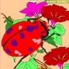 Jeu Kid’s coloring: Garden beetle en plein ecran