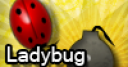 Jeu Ladybug Bomb
