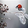 Jeu Ladybug in the woods slide puzzle en plein ecran