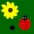 Ladybug – TPC