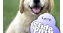 Jeu Leo’s Slide Puzzle Game – Cute doggy