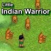 Jeu Little Indian Warrior en plein ecran