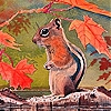 Jeu Lovely autumn squirrel slide puzzle en plein ecran