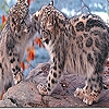 Jeu Lovely leopard brothers puzzle en plein ecran