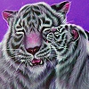 Jeu Lovely tigers family puzzle en plein ecran