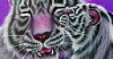 Jeu Lovely tigers family puzzle