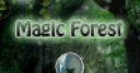Jeu Magic Forest