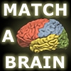 Jeu Match-A-Brain en plein ecran