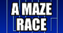 Jeu Maze Race