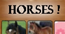 Jeu Memory Game: Horses!