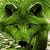 Jeu Native green wolf slide puzzle en plein ecran