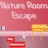 Nature Room Escape