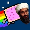Jeu Nyan Bin Laden en plein ecran