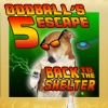 Jeu Oddball’s Escape 5: Back to the Shelter en plein ecran