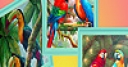 Jeu Parrot family in forest puzzle