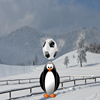 Jeu Penguin Soccer en plein ecran