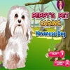 Jeu Peppy’s Pet Caring – Havanese Dog en plein ecran