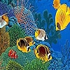 Jeu Perfect ocean fishes puzzle en plein ecran