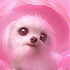 Jeu Pink dog puppy slide puzzle en plein ecran