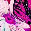 Jeu Pink garden and butterflies puzzle en plein ecran