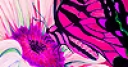 Jeu Pink garden and butterflies puzzle