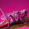 Jeu Pink grasshopper in garden puzzle en plein ecran