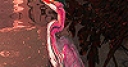 Jeu Pink heron in the lake slide puzzle