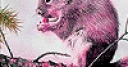 Jeu Pink hungry squirrel slide puzzle