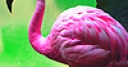 Jeu Pink lake flamingos puzzle