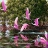Pink river flamingos puzzle