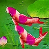Jeu Pink sea fishes puzzle en plein ecran