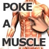 Jeu Poke-A-Muscle en plein ecran
