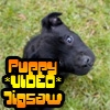 Jeu Puppy VIDEO Jigsaw en plein ecran