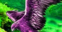 Jeu Purple Eagle slide puzzle