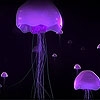 Jeu Purple jellyfish slide puzzle en plein ecran
