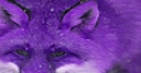 Jeu Purple mountain fox puzzle