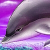 Jeu Purple ocean dolphins puzzle en plein ecran