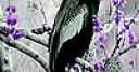 Jeu Purple sakura and bird slide puzzle