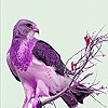 Jeu Purple tree bird slide puzzle en plein ecran